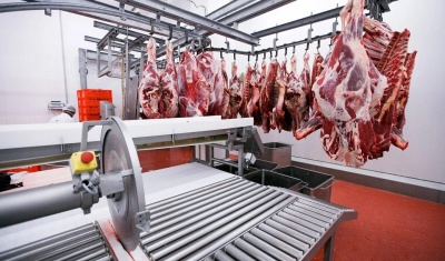 Насосы для боен: особенности выбора и эксплуатации